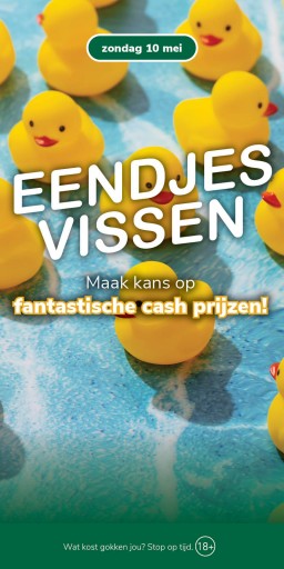 FC_Veghel_WEB_Eendjes vissen.jpg