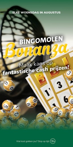 FC_DB Hinthamereinde_WEB_Bingomolen Bonanza.jpg